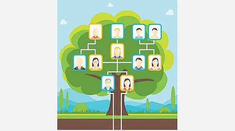 விடுமுறையில் என்ன செய்யலாம்? - ஃபேமிலி ட்ரீ