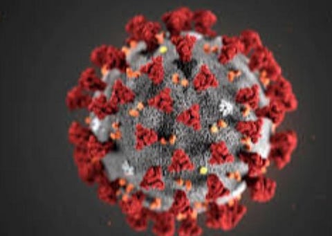 பிரதிநிதித்துவப் படம்