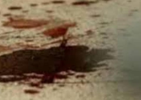 பிரதிநிதித்துவப் படம்