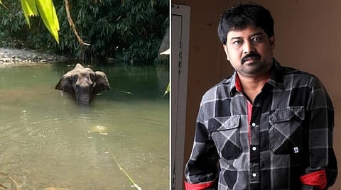 கேரளாவில் யானை உயிரிழப்பு சர்ச்சை: லிங்குசாமி காட்டமான கவிதை