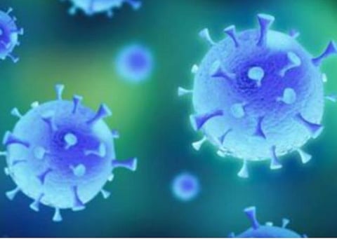 பிரதிநிதித்துவப் படம்