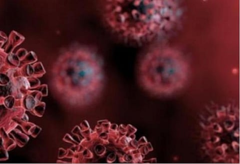 ஆப்பிரிக்க நாடுகளில் கரோனா பாதிப்பு 1,80,000 ஆக அதிகரிப்பு