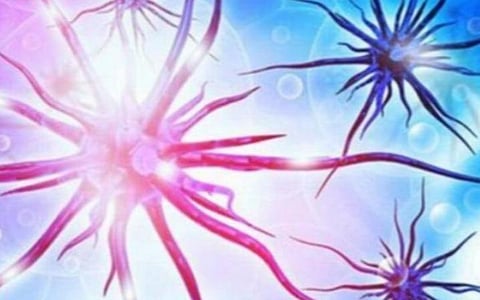 நெல்லையில் நாளுக்குநாள் அதிகரிக்கும் கரோனா: பாதிப்பு எண்ணிக்கை 400-ஐ நெருங்கியுள்ளது