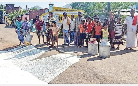 உரிய விலை வழங்காததால் ஆண்டிபட்டி அருகே திம்மரச நாயக்கனூரில் பாலை  தரையில் கொட்டி போராட்டம் நடத்தும் விவசாயிகள்.