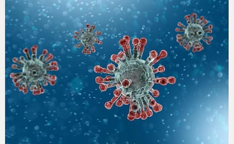 புதுச்சேரியில் 14 வயதுச் சிறுமி உட்பட 7 பேருக்குக் கரோனா உறுதி; மேலும் ஒரு முதியவர் உயிரிழப்பு