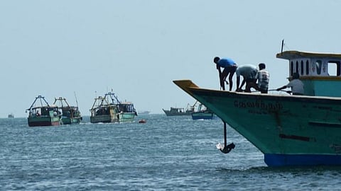 படங்கள்: எல். பாலச்சந்தர்  