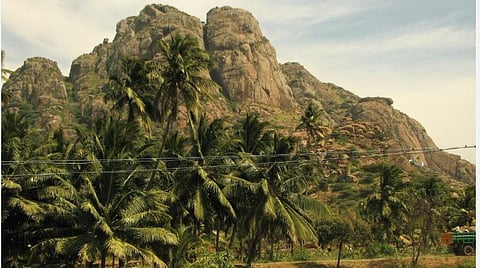 அரிய மூலிகைகளைக் கொண்ட மருந்துவாழ் மலை: புராதனச் சின்னமாக அறிவிக்கக் கோரிக்கை