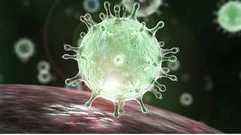 சிவகங்கை மாவட்டத்தில் மருத்துவ பணியாளர் உட்பட 12 பேருக்கு கரோனா