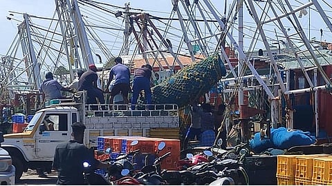 குமரி மேற்கு கடல் பகுதியில் 45 நாள் மீன்பிடி தடைகாலத்தால் நாட்டுப்படகில் பிடிபடும் கரைமடி மீன்களுக்கு மவுசு