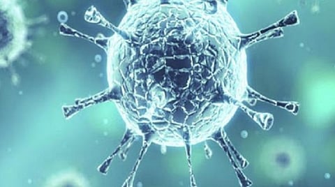 சிவகங்கை மாவட்டத்தில் ஒரே நாளில் 13 பேருக்கு பாதிப்பு: 15 பேர் குணமடைந்தனர்