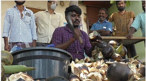 உதவிகள் குவிந்தாலும் நுங்கு வெட்டுவதைத் தொடரும் மருத்துவ மாணவர்!