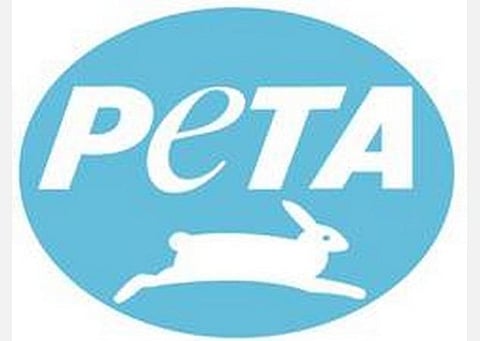 மாடுகள், யானைகள் உள்ளிட்ட விலங்குகளிடமிருந்து காச நோய்க்கிருமிகளை அகற்றாமல் இந்தியாவில் ‘டீபி’-யை ஒழிப்பது கடினம்- பீட்டா அமைப்பு