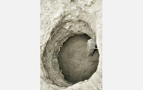 விளை நிலத்தின் நடுவே கண்டு பிடிக்கபட்ட தானியக் குதிர்.