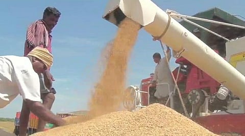 புதுச்சேரியில் சந்தைபுதுகுப்பத்தில் நடைபெறும் விவசாய அறுவடைப் பணிகளில் ஈடுபடும் விவசாயிகள்.