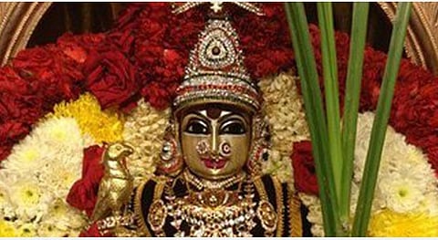 தரித்திரம் நீக்குவாள் பங்காரு காமாட்சி! 