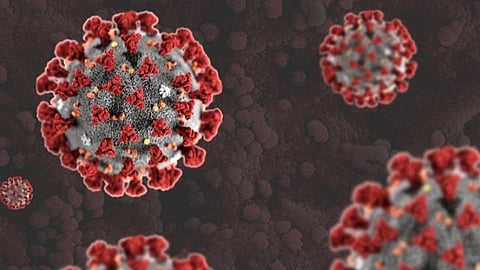 ஊழியர் ஒருவருக்கு கரோனா உறுதி: மதுரை அரசு போக்குவரத்து கழகத்தில் அவசரம் அவசரமாக வெளியேற்றப்பட்ட கூடுதல் பணியாளர்கள்