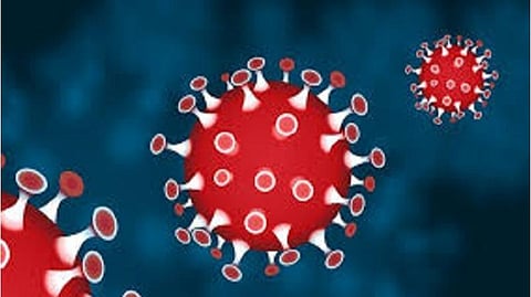 ராஜபாளையம் திமுக எம்எல்ஏ தங்கப்பாண்டியனின் மனைவி, மகன்களுக்கு கரோனா