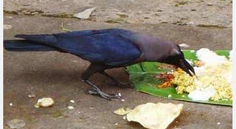 தனுசு ராசிக்காரர்களுக்கு... ஜூலை மாத பலன்கள்