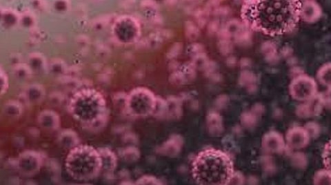 மதுரையில் 257 பேருக்கு புதிதாக கரோனா தொற்று: ஒரே நாளில் 208 நோயாளிகள் டிஸ்சார்ஜ் 