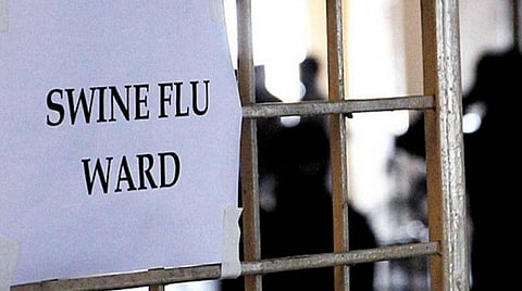கரோனாவைத் தொடர்ந்து சீனாவில் புதிதாக பரவும் ஸ்வைன் புளூ வைரஸ்: விஞ்ஞானிகள் எச்சரிக்கை