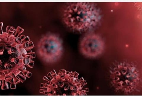 உலகம் முழுவதும் சுமார் 1,03,57,662 பேர் கரோனாவால் பாதிப்பு