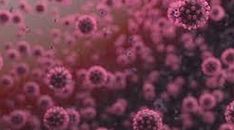 கரோனா நோயாளிகள் வீட்டிலிருந்தபடியே சிகிச்சைப்பெற வசதி: மதுரை மாநகராட்சியில் டெலிமெடிசின் திட்டம் தொடக்கம் 