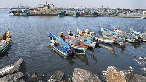 காசிமேடு துறைமுகத்தில் மீன்பிடி, விற்பனை அனுமதி கோரி 11 ஆயிரம் பேர் விண்ணப்பம்