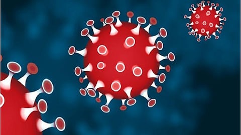 சிவகங்கையில் ஒரே நாளில் 21 பேர் குணமடைந்தனர்: மேலும் 36 பேருக்கு கரோனா; இருவர் இறப்பு