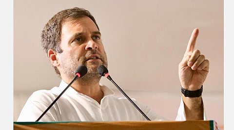 காங்கிரஸ் எம்.பி. ராகுல் காந்தி : கோப்புப்படம்