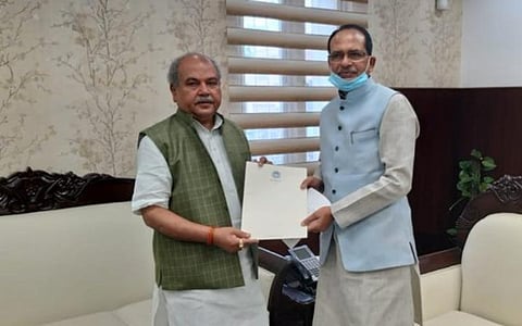 ம.பி.யின் பாசுமதி அரிசிக்கு புவிசார் குறியீடு: சிவராஜ் சிங் சவுகான் வலியுறுத்தல்