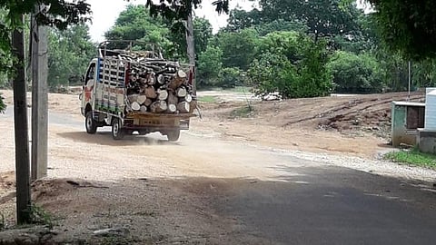 திருப்பத்தூர் அருகே தூர்வாருவதாகக் கூறி 30 டன் பழமையான மரங்கள் வெட்டி சாய்ப்பு: தமிழக ஆளுநரிடம் கிராம மக்கள் புகார்