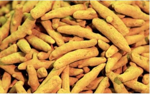 புற்றுநோய் அணுக்களை அழிக்கும் மஞ்சள்: சென்னை ஐஐடி ஆராய்ச்சியாளர்கள் கண்டுபிடிப்பு