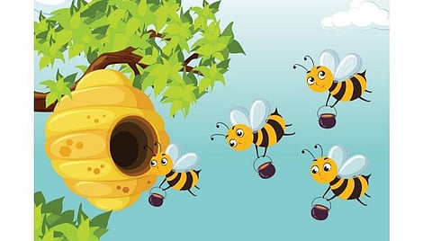 கதை: புதிய கூடு