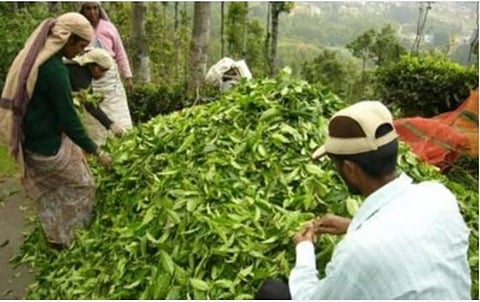 கோப்புப் படம்