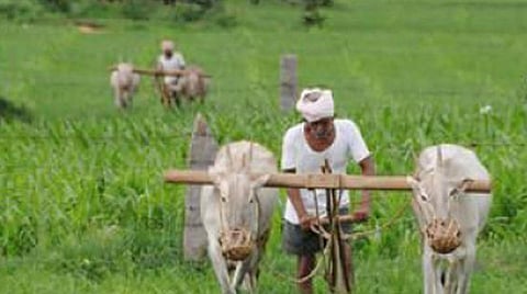 வேளாண் மற்றும் கிராமப்புற தொழிலாளர் விலை குறியீட்டு எண்: 1199 புள்ளிகளுடன்  தமிழகம் முதலிடம்