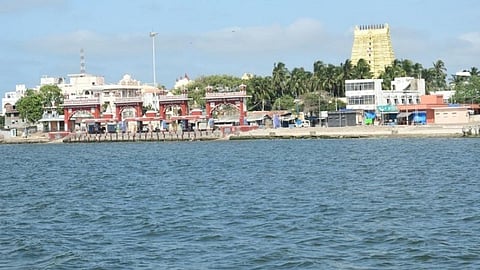 படங்கள்: எஸ்.பாலச்சந்தர்