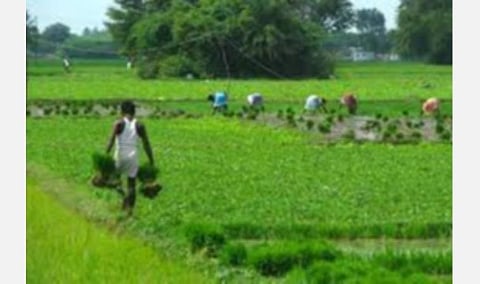 கூட்டுறவுச் சங்கங்களின் வேலை நிறுத்தம்; பாதிக்கப்படும் விவசாயம்: விரைந்து  முடிவு காண திமுக வலியுறுத்தல்