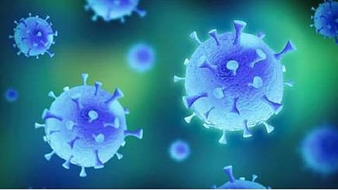 திருநெல்வேலியில் கடந்த 12 நாட்களில் 1512 பேருக்கு கரோனா பாதிப்பு