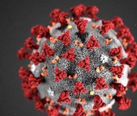 பிரதிநிதித்துவப் படம்