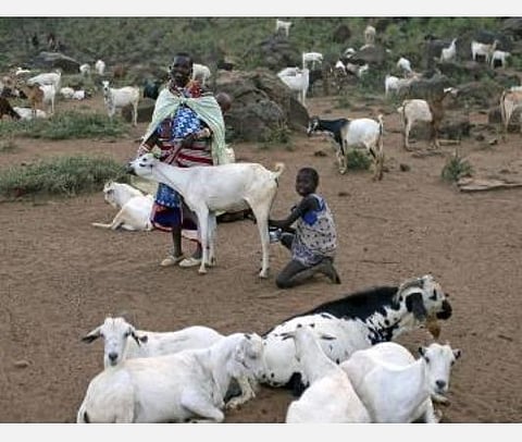 படம். | ஏ.என்.ஐ.