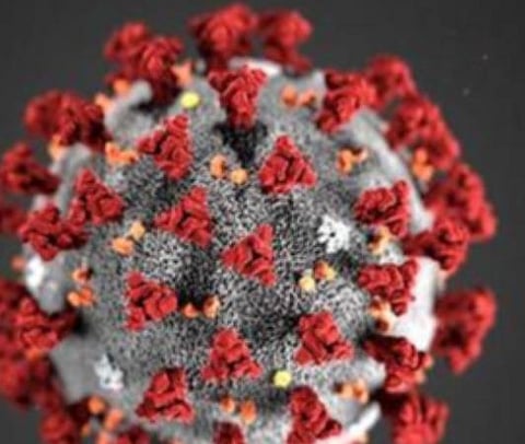 பிரதிநிதித்துவப் படம்