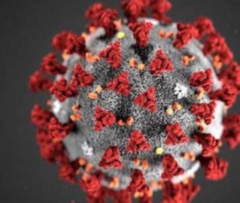 பிரதிநிதித்துவப் படம்