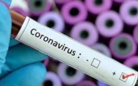 கரோனா தொற்று; நாடுமுழுவதும் ஒரே நாளில் 6.6 லட்சத்துக்கும் அதிகமான மாதிரிகள் பரிசோதனை