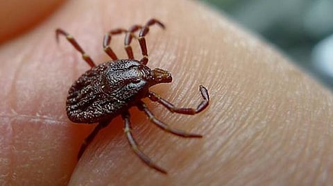 பிரதிநிதித்துவப்படம்