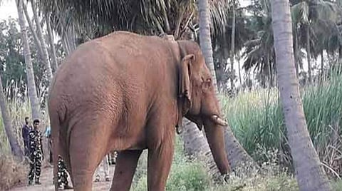 தர்ம கர்மாதியோகம்; 28வது அபிஜித் நட்சத்திரம்; பெருமை வாய்ந்த பிள்ளையார்! - 27 நட்சத்திரங்கள்; ஏ டூ இஸட் தகவல்கள் - 63