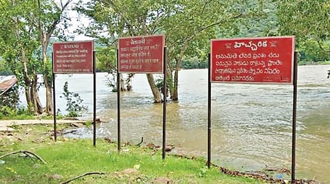 ஒகேனக்கல் அடுத்த ஆலம்பாடி பகுதியில் எச்சரிக்கை பலகைகள் அமைந்துள்ள கரையோர பகுதியை தொட்டுச் செல்லும் தண்ணீர்.