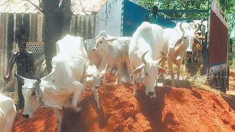 கோப்புப்படம்