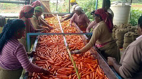 பிரதிநிதித்துவப் படம்