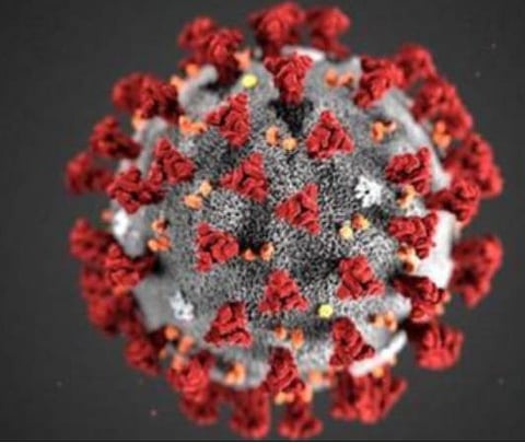 பிரதிநிதித்துவப் படம்