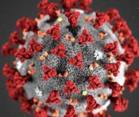 பிரதிநிதித்துவப் படம்